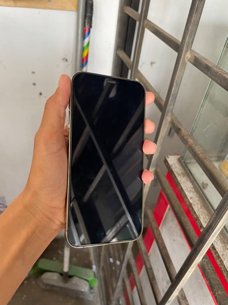 Apple iPhone 12 2
