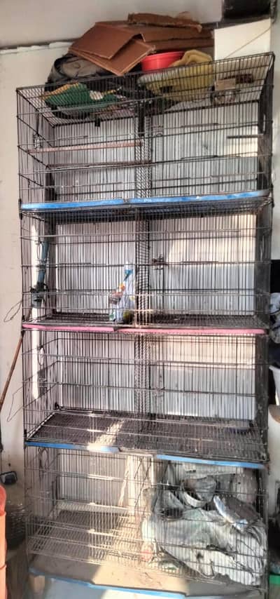 birds Cage 3