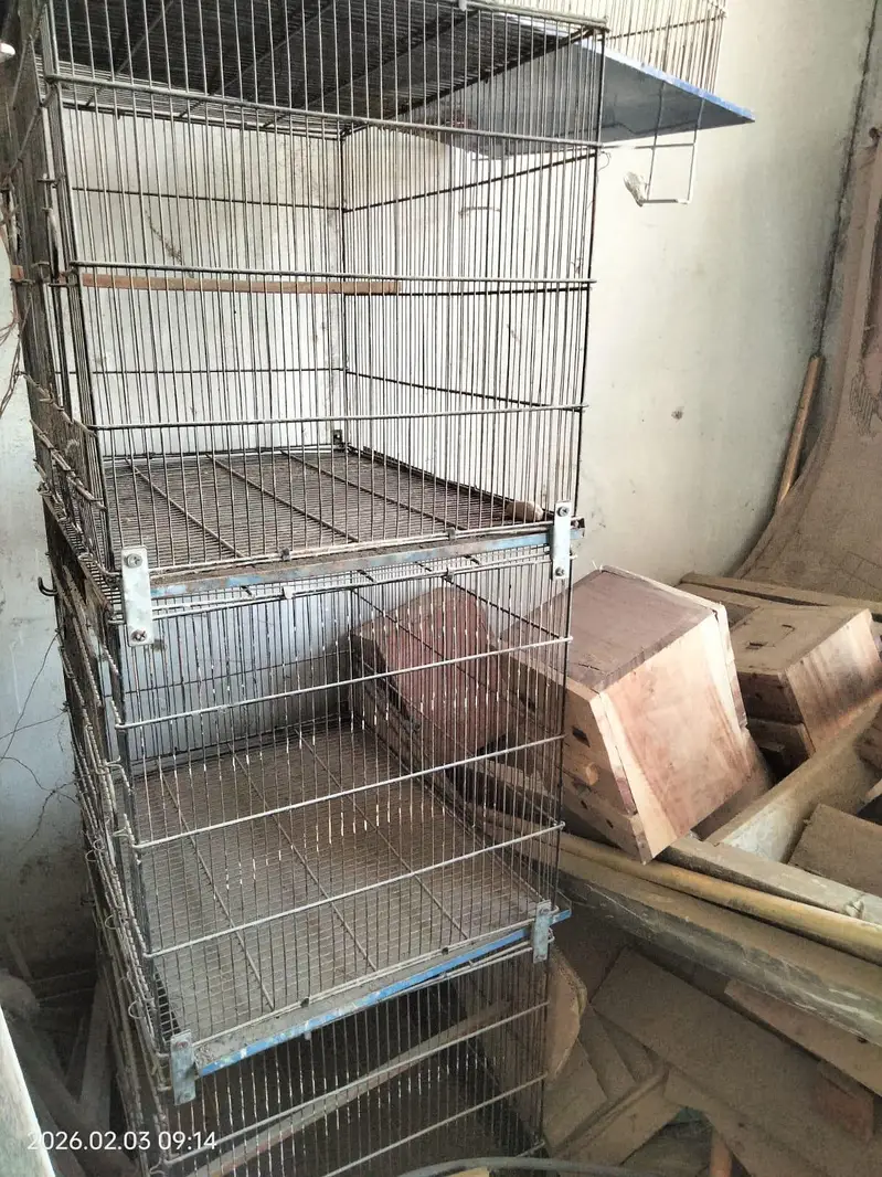 birds Cage 3 — photo 2