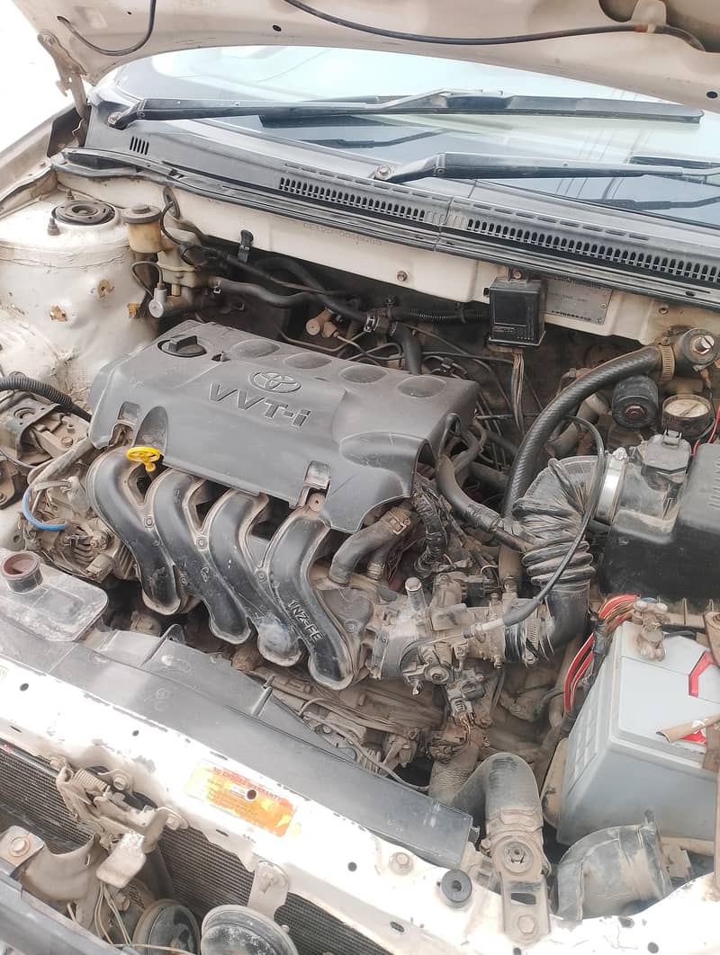 Corolla xli 8