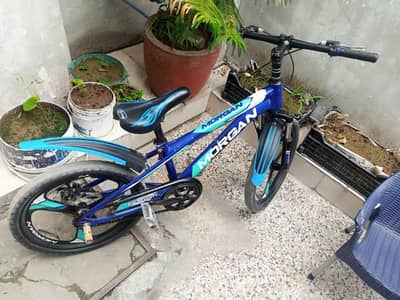 Morgan bicycle with 20 inch tyres