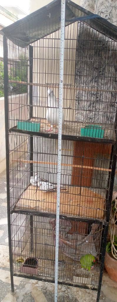 big cage 5