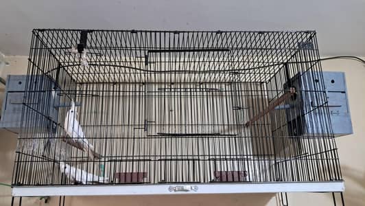 eno cocktails with 4 foot cage with cocktail boxs