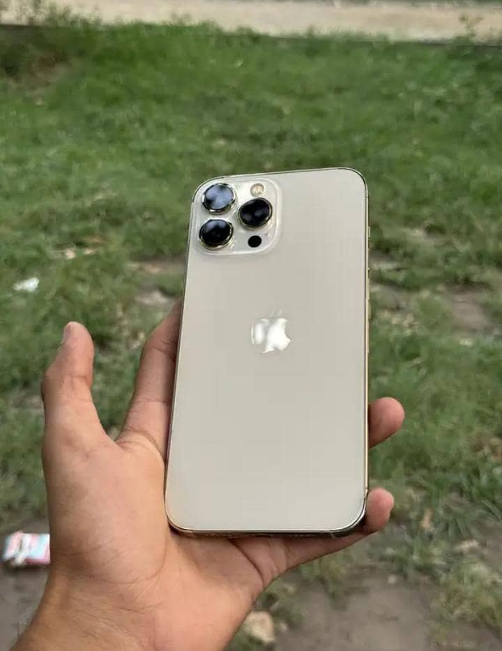 iPhone 13 Pro Max 1