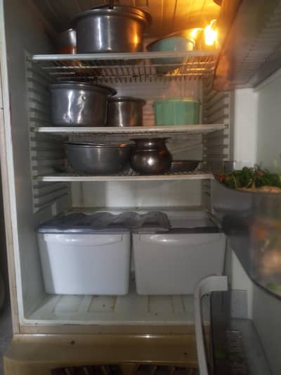 PEL Refrigerator Large Size