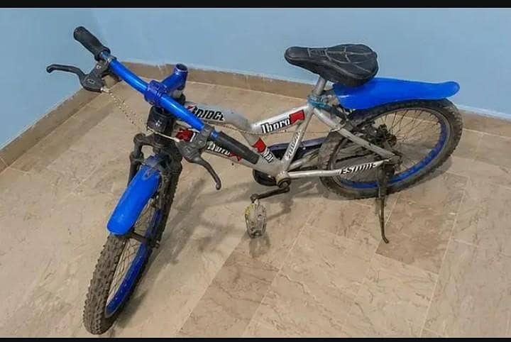 Cycle 0