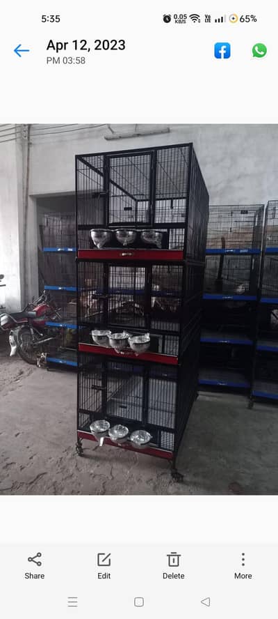 birds cage