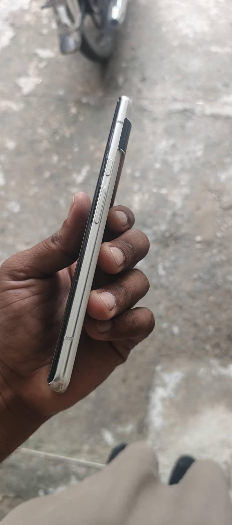Google Pixel 6 Pro  for camera lovers 7