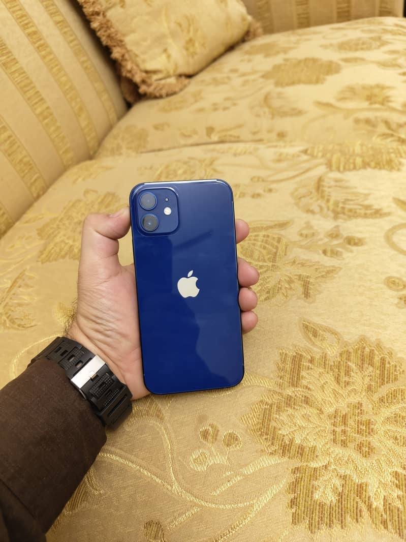 Apple iPhone 12 1