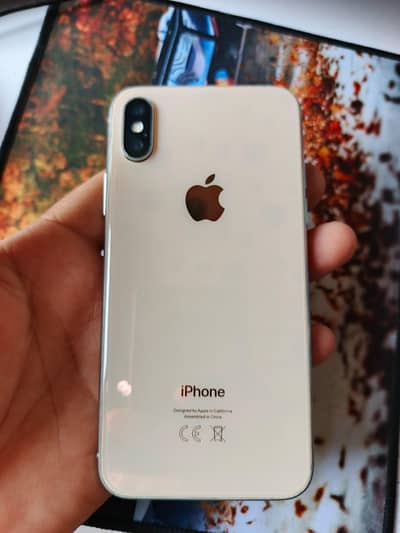 Apple iPhone X
