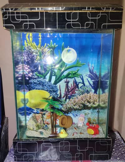 2 Fish equarium for sale.
