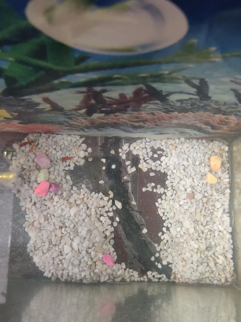 2 Fish equarium for sale. — photo 4