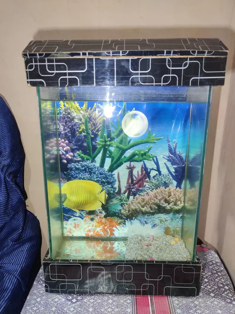 2 Fish equarium for sale. — photo 5