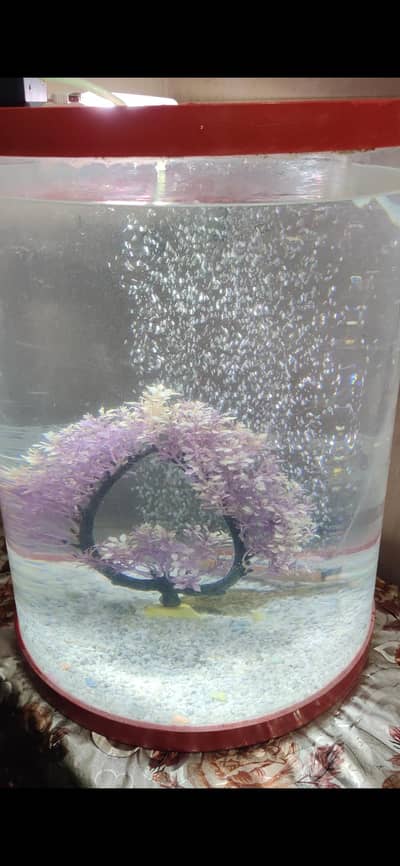 Fish equarium for sale.