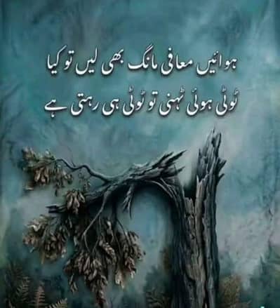 لنگر تقسیم کیلئے خواتین کی ضرورت ہے (تفصیل پڑھ لیں