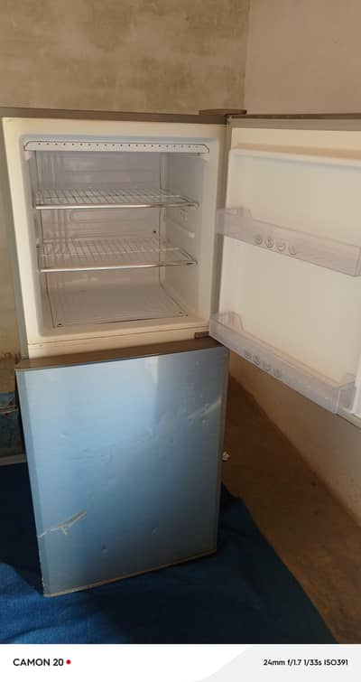 freg for sale
