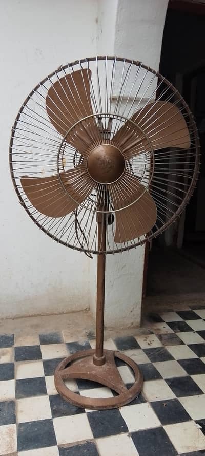 MD national fan