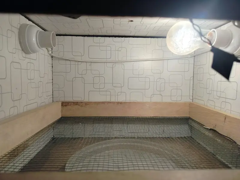 incubator — photo 2