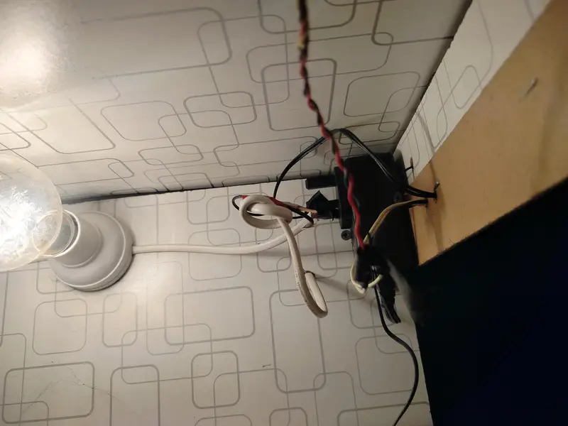 incubator — photo 3