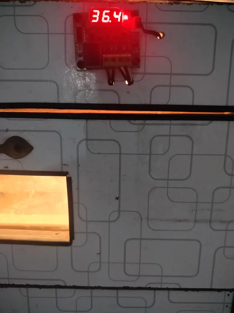 incubator — photo 6