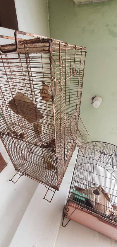 Two cages used condition