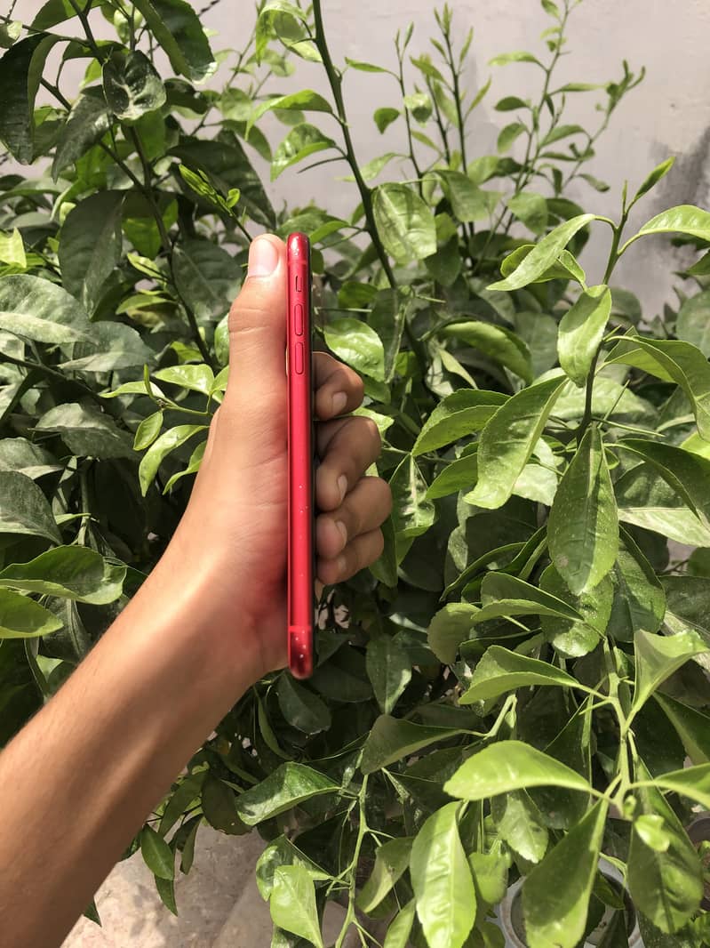 Apple iPhone 11 2