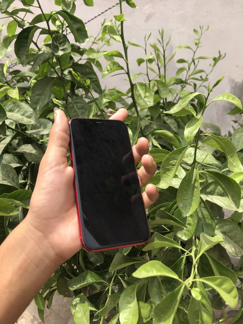 Apple iPhone 11 1