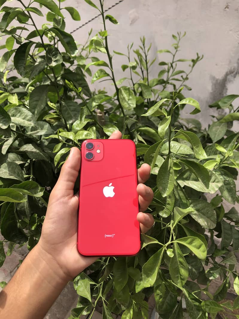 Apple iPhone 11 0
