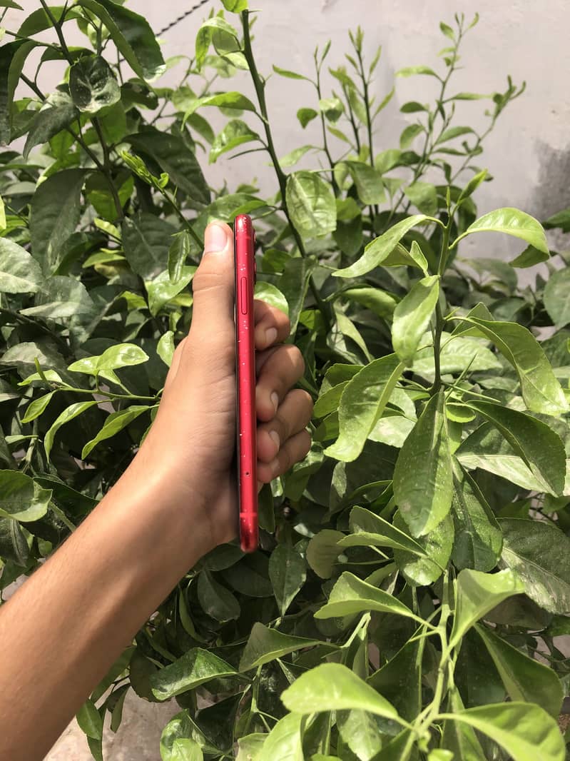 Apple iPhone 11 3