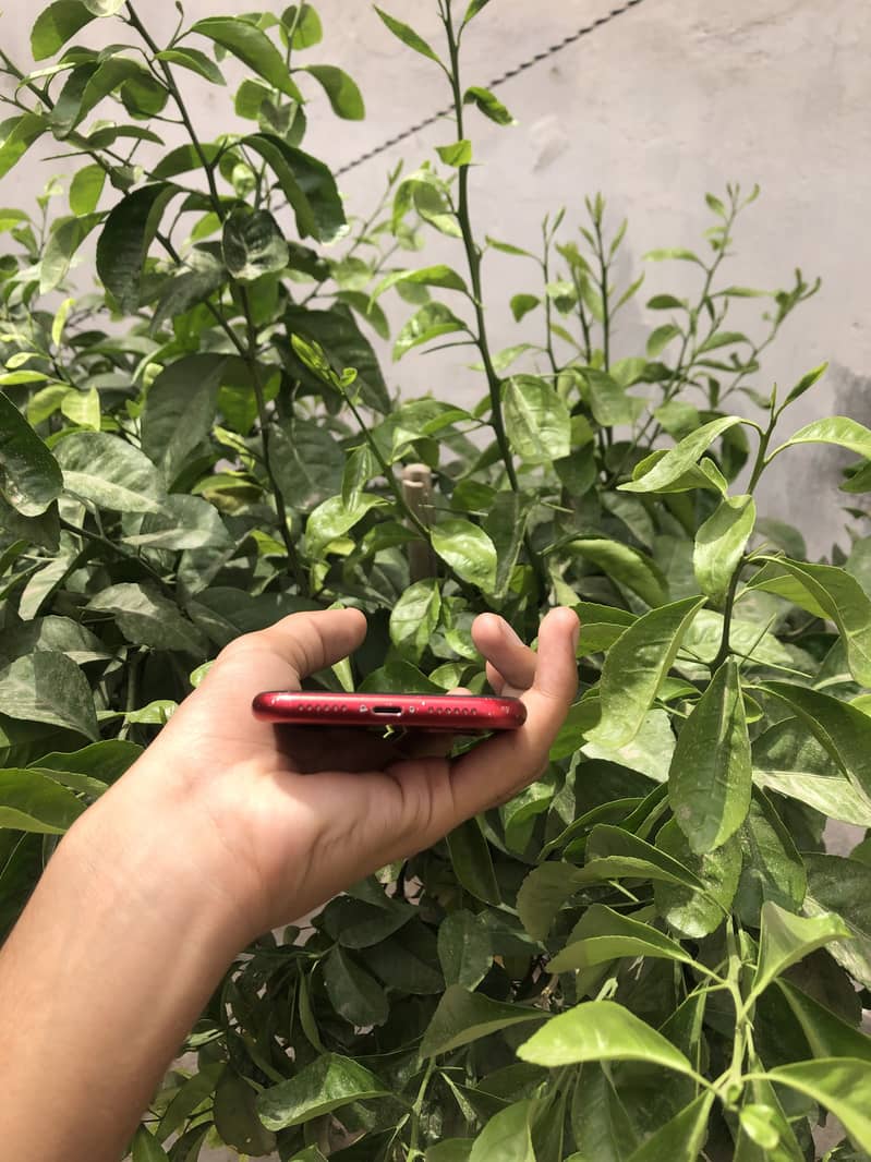 Apple iPhone 11 4