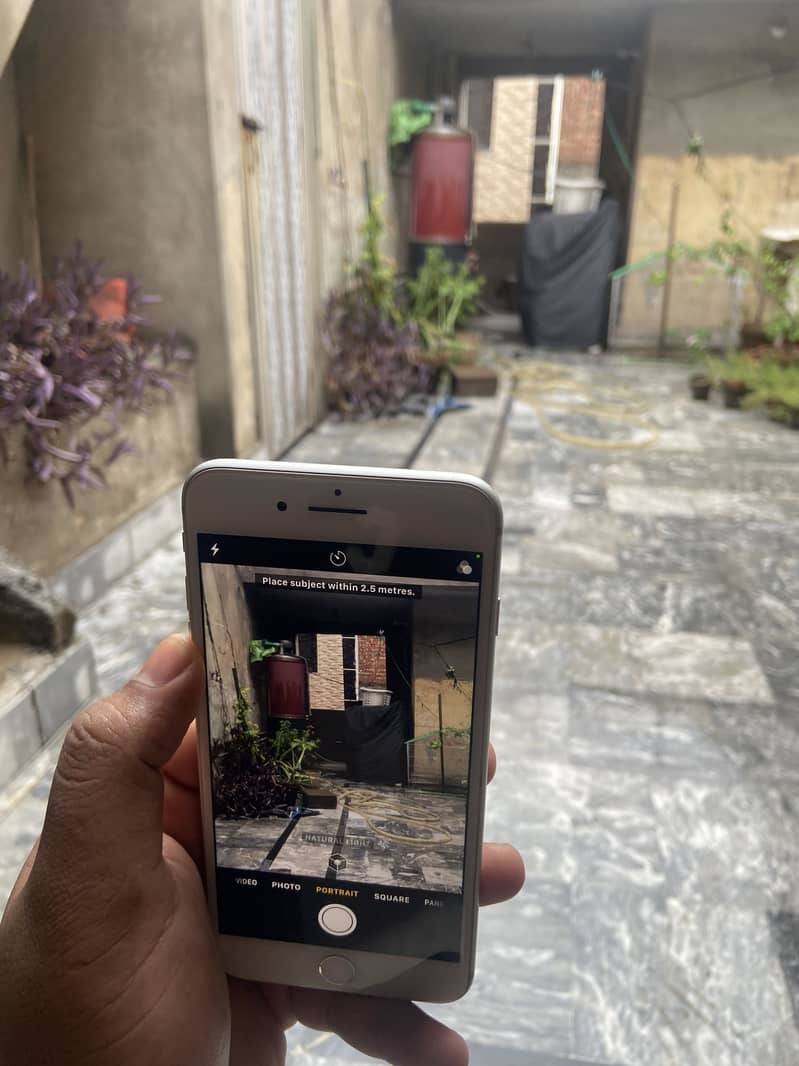 Apple iPhone 8 Plus 6