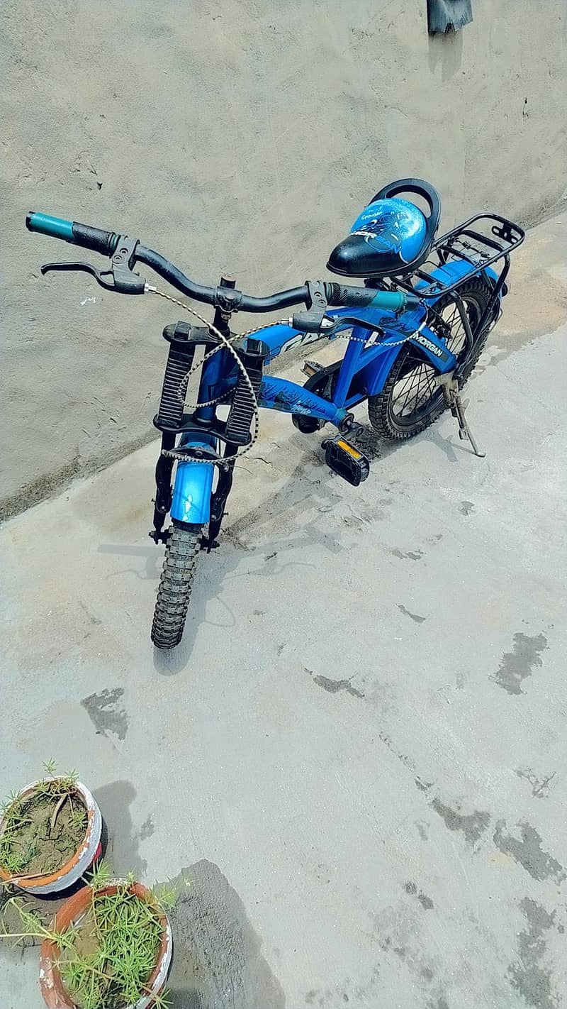 Cycle 2