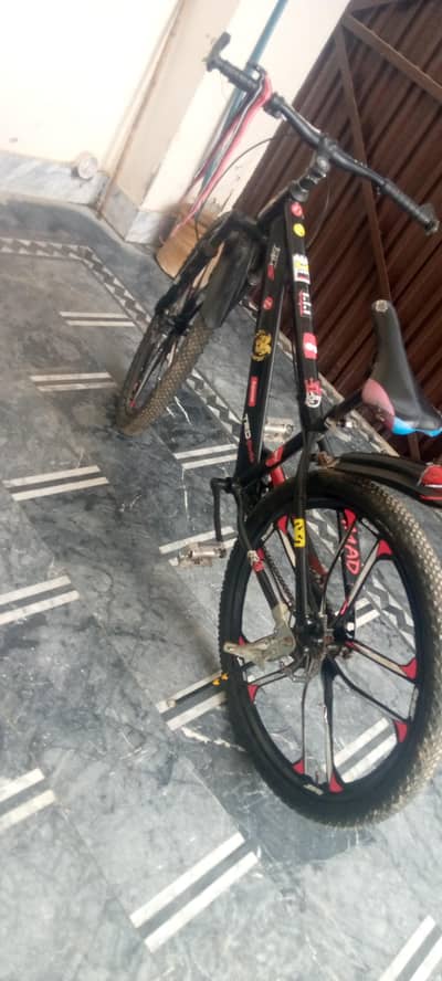 Ellora Rim and disc brake stunt and back and shops