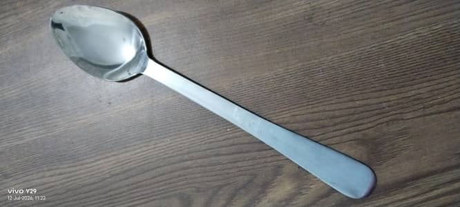 Heavy Stainless Steel Long Handle Serving Spoon – New Condition