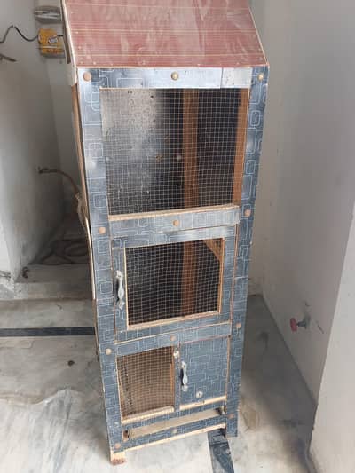 Birds/Pet House