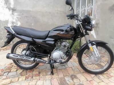 YAMAHA Ybz 20 Model All Punjab Number