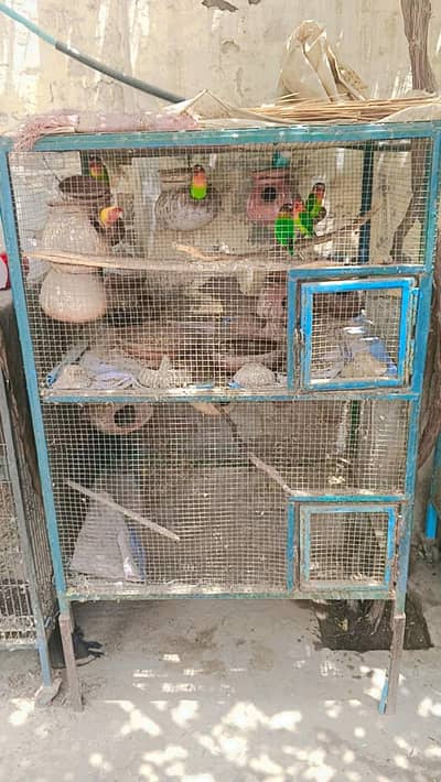 cage for sale with birds
