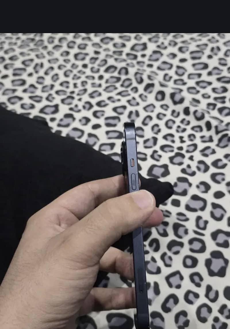 Apple iPhone 13 0