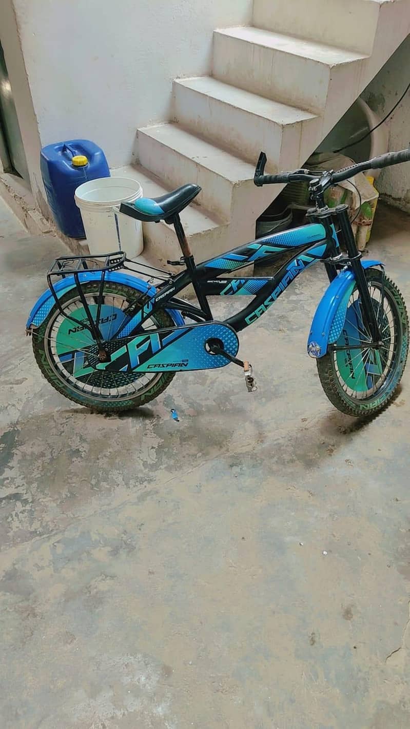 Bicycle 0