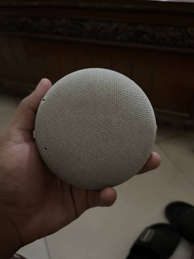 Google home mini