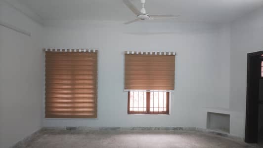 window blinds
