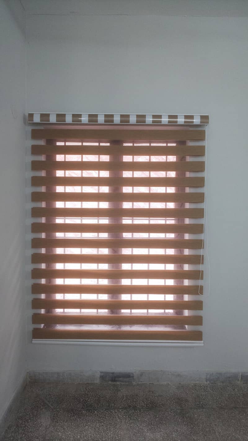 window blinds 1