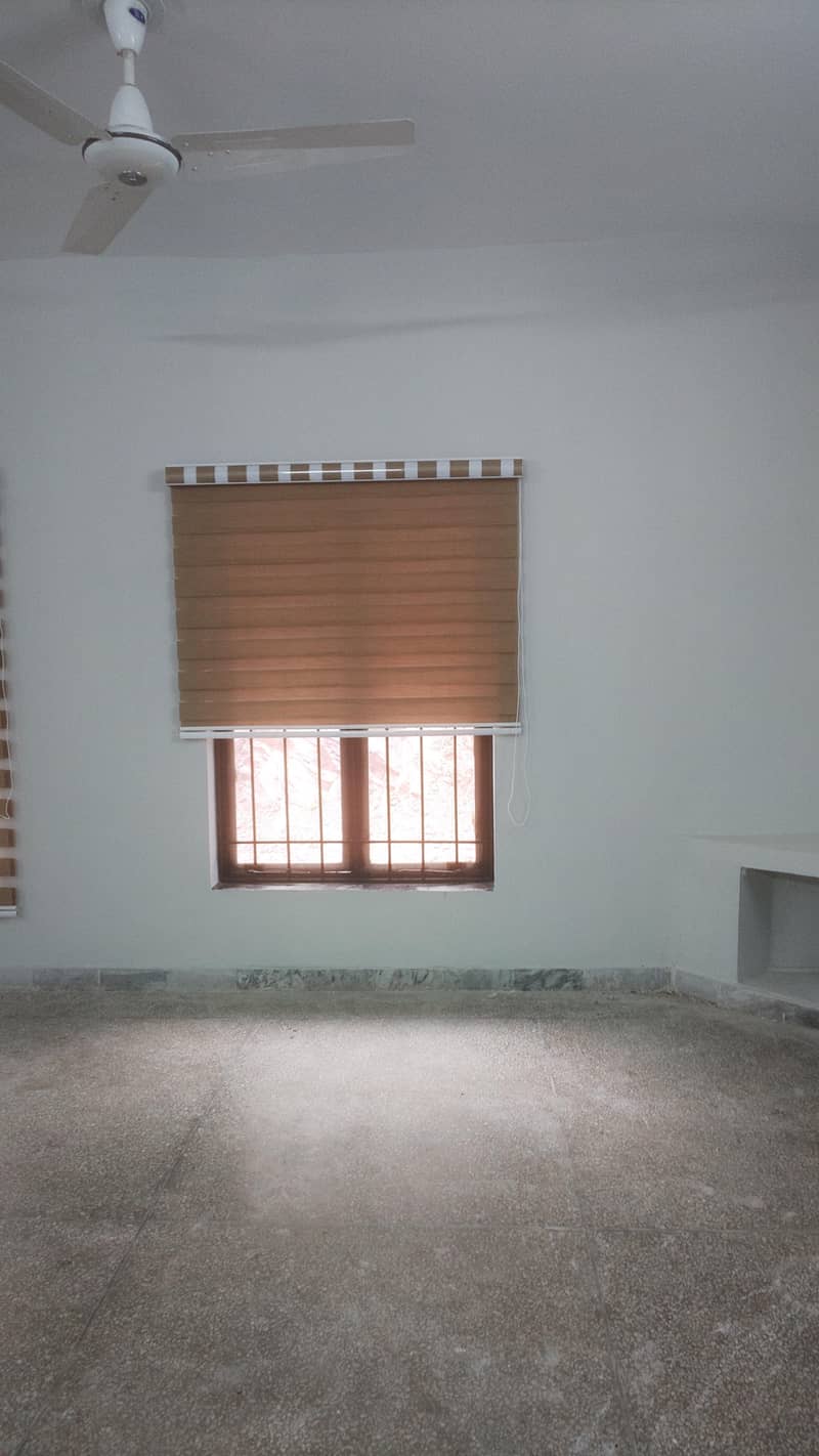 window blinds 2
