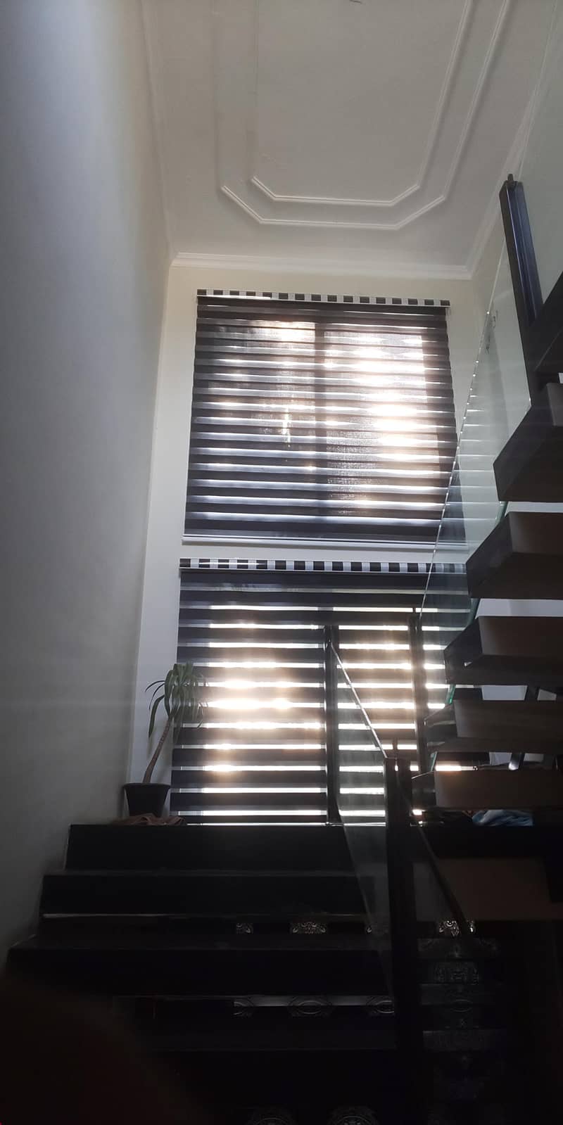 window blinds 19