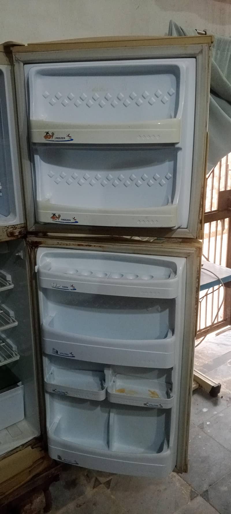 fridge 2