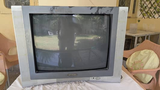 Nobel TV