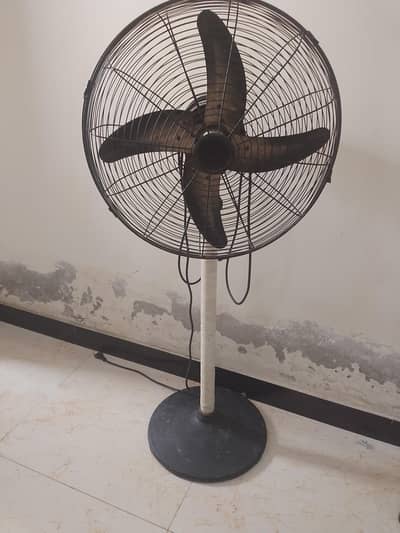 padal fan