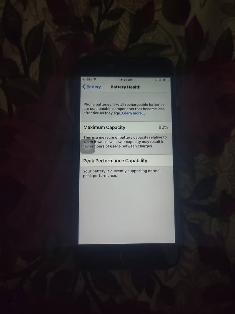 Apple iPhone 6 Plus 3