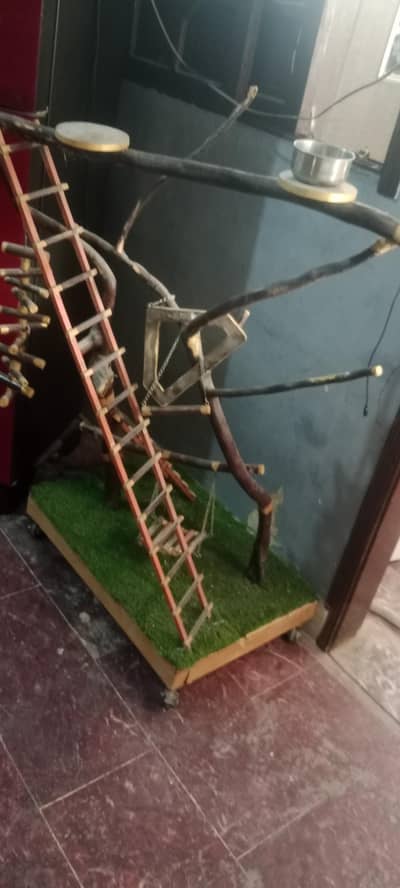 parrots ka jhula hay new hay bilkul