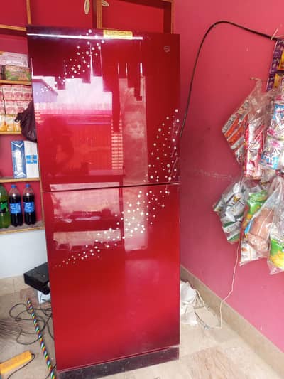 PEL Glass Door Refrigerator PRA 160 Excellent Condition